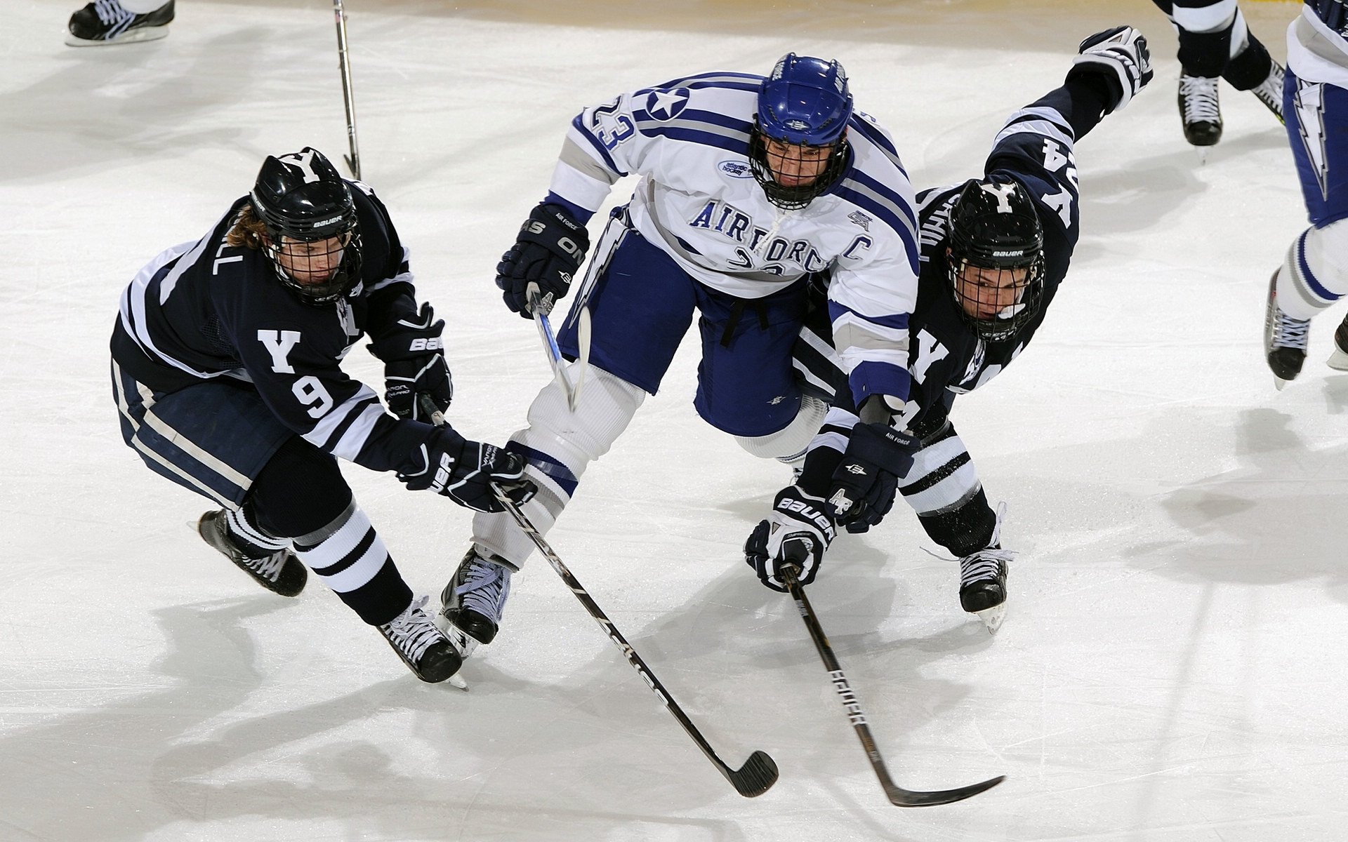 哈兰德主宰曼城，哈兰德是曼城球迷